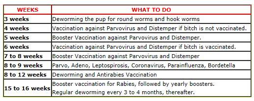 Puppy Vaccination Schedule Chart